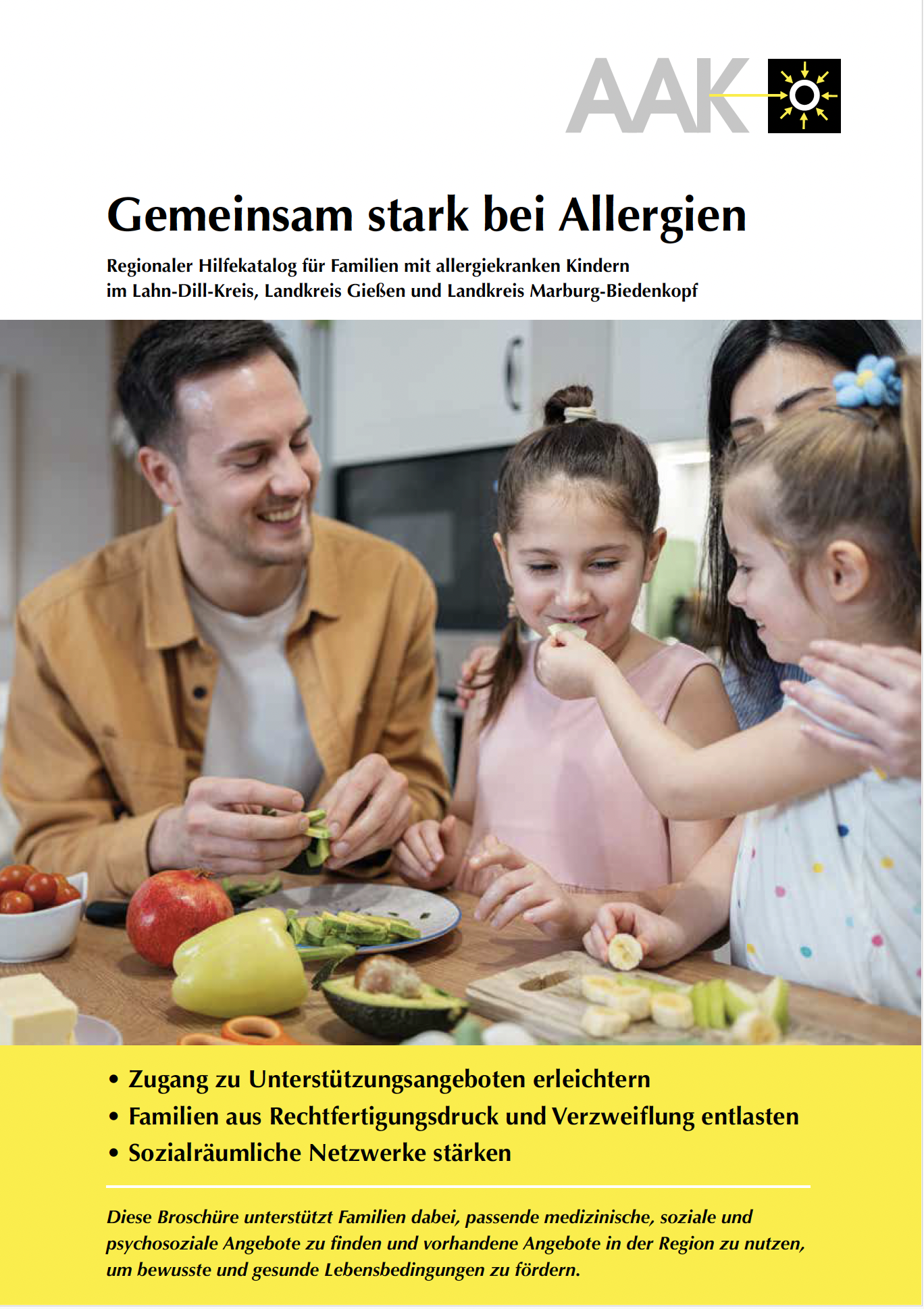 Gemeinsam stark bei Allergien – Regionaler Hilfekatalog für Familien mit allergiekranken Kindern im Lahn-Dill-Kreis, Landkreis Gießen und Landkreis Marburg-Biedenkopf