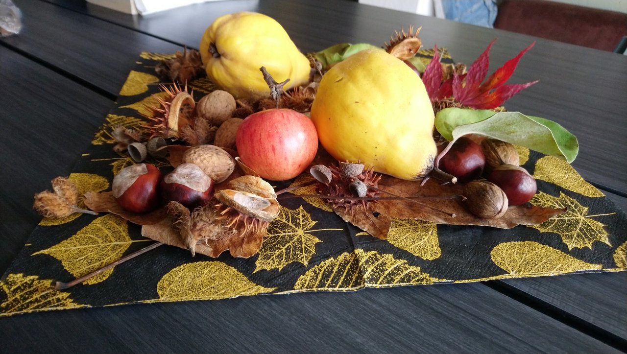 csm DSC 3684 a079857bb4